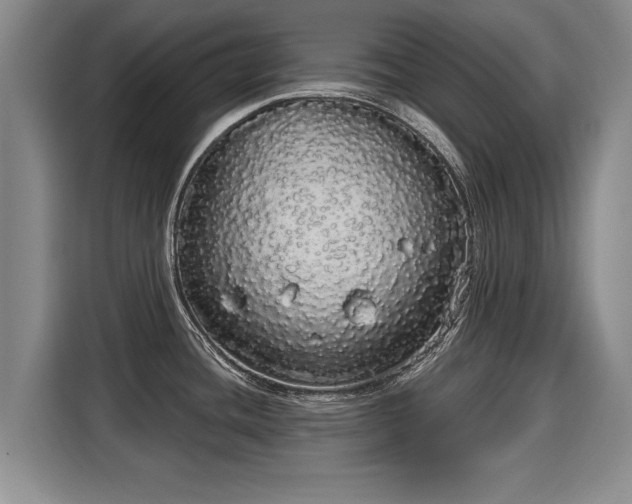 X0000116041436200911271149