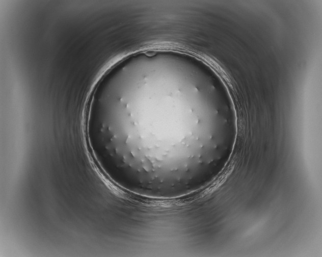 X0000116041438200911271149