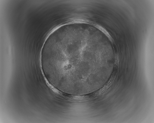 X0000116041439200911271149