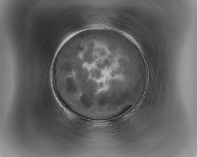 X0000116041440200911271149