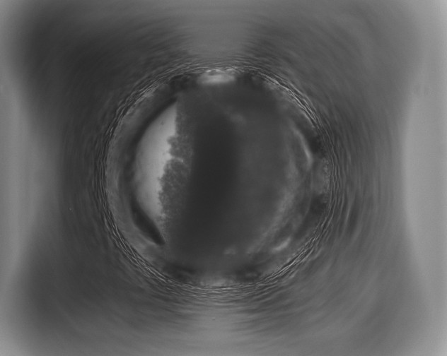 X0000116041441200911271148