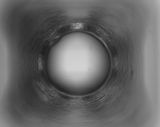 X0000116041442200911271148