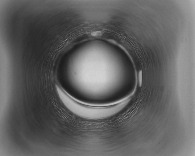 X0000116041443200911271148