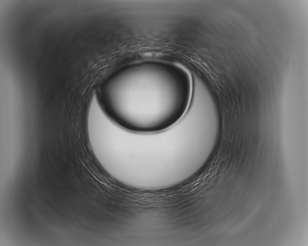 X0000116041444200911271148