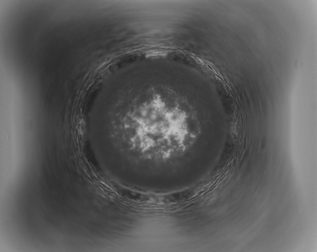 X0000116041445200911271148