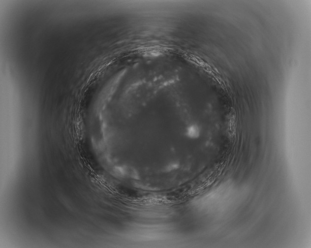 X0000116041446200911271148