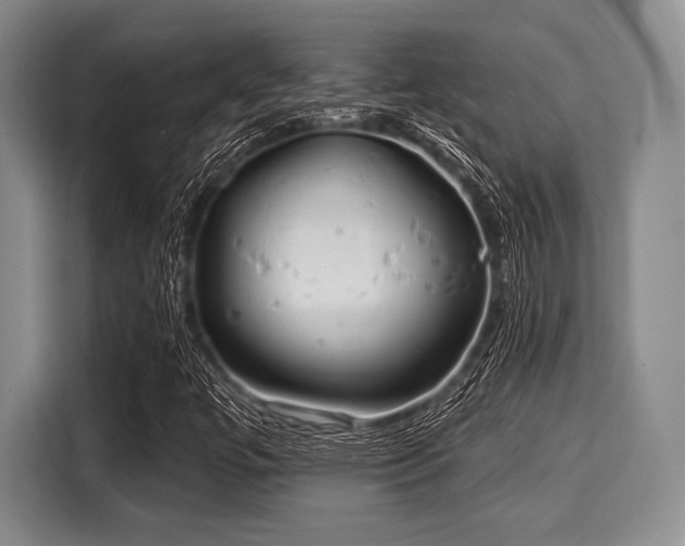 X0000116041447200911271148