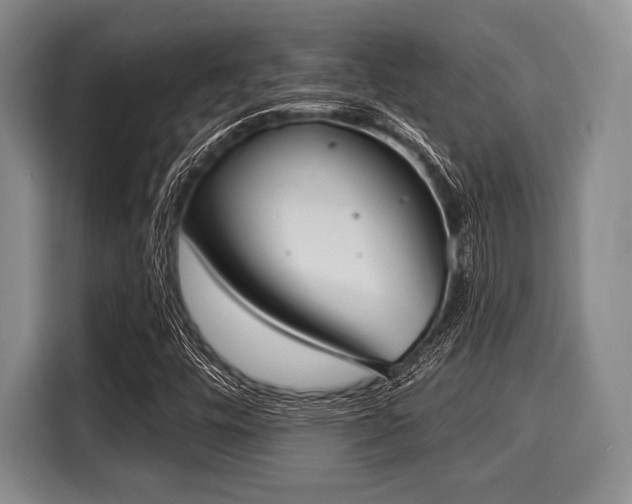 X0000116041448200911271148