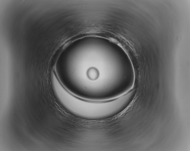 X0000116041449200911271148