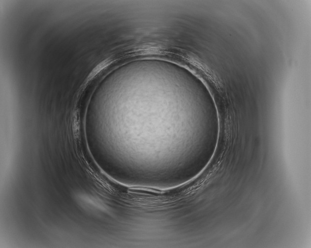 X0000116041450200911271148