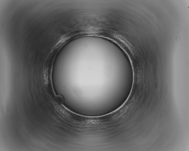 X0000116041451200911271148