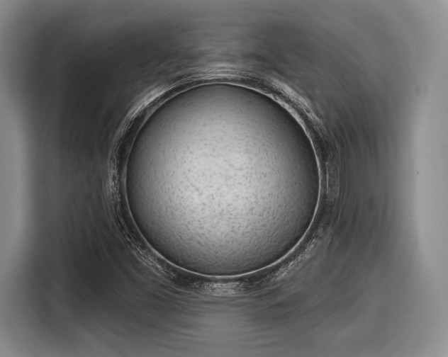 X0000116041453200911271148