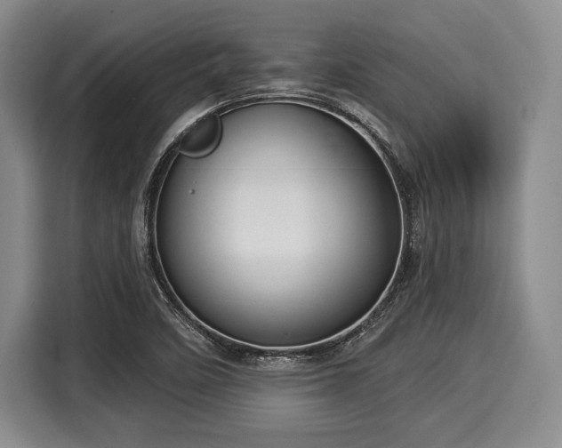 X0000116041458200911271148