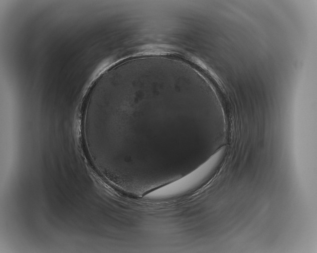 X0000116041459200911271148