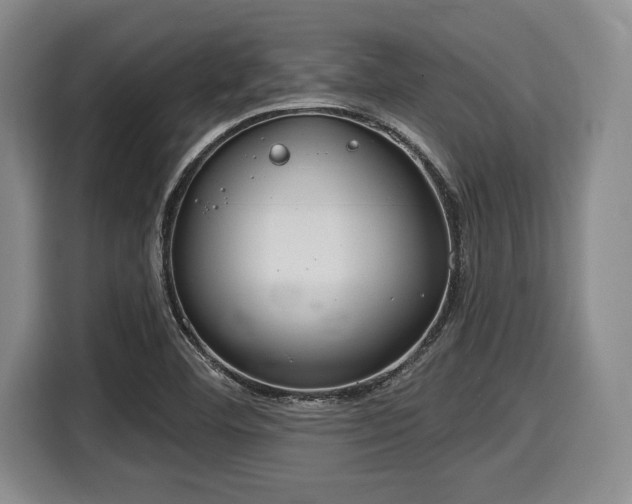 X0000116041460200911271148