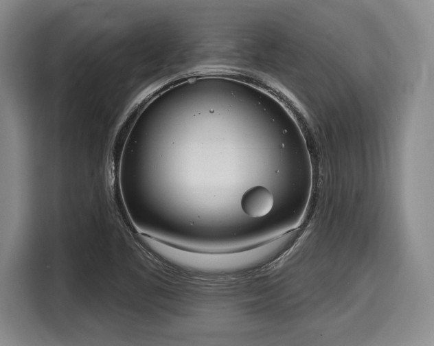 X0000116041461200911271148