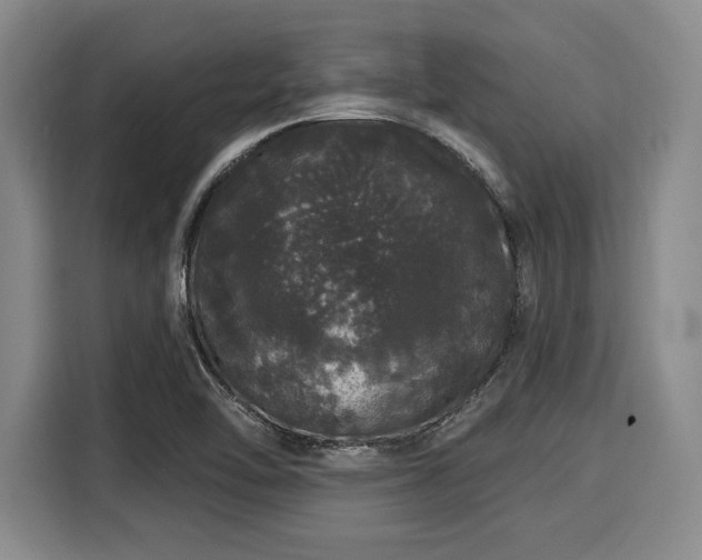 X0000116041462200911271148