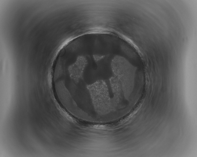 X0000116041463200911271148