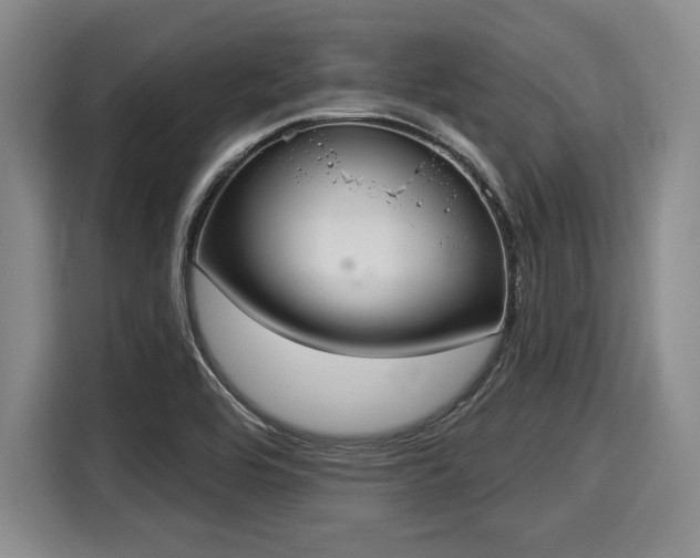 X0000116041464200911271148