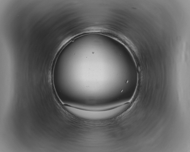 X0000116041465200911271148