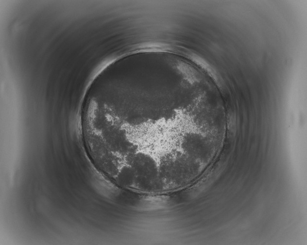 X0000116041466200911271148