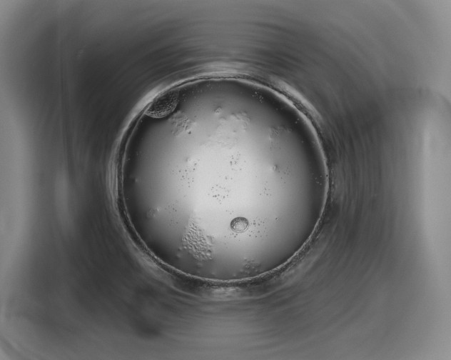 X0000116041467200911271148