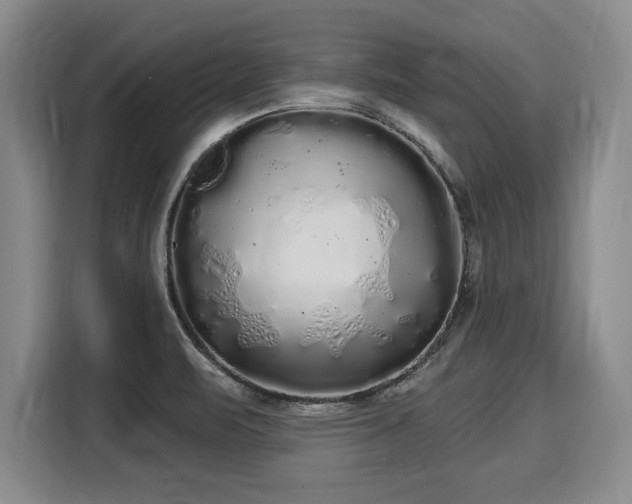 X0000116041471200911271148