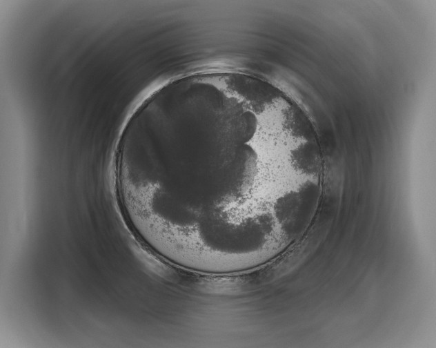 X0000116041474200911271148