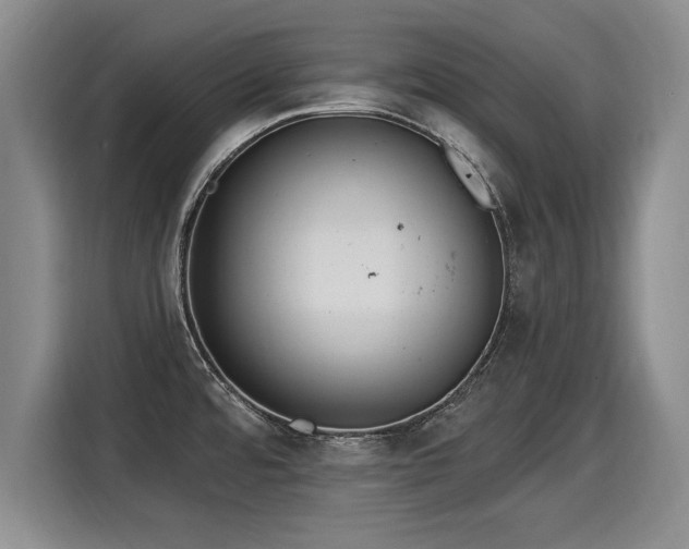 X0000116041480200911271148