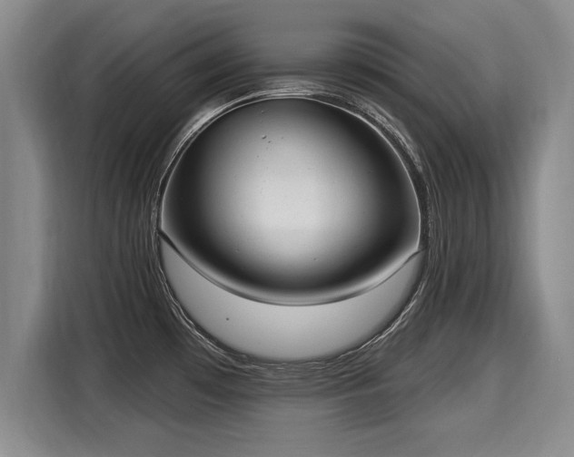 X0000116041481200911271148