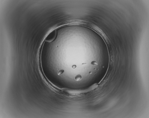 X0000116041483200911271148