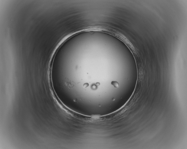 X0000116041484200911271148