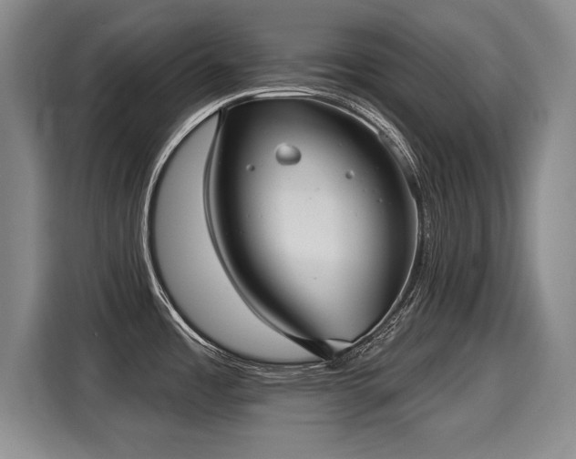 X0000116041485200911271148