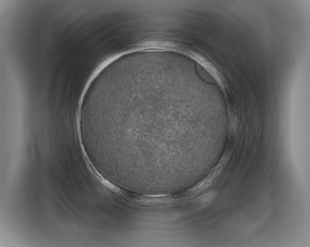 X0000116041486200911271148