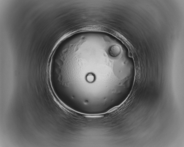 X0000116041487200911271148