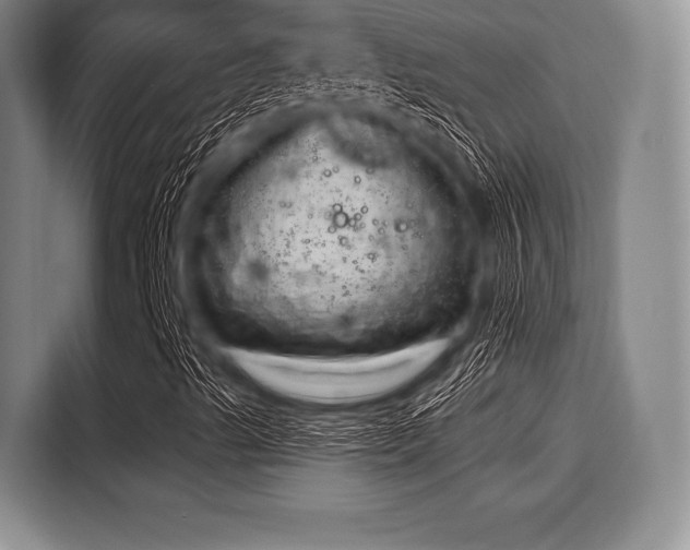 X0000116041489200911271147