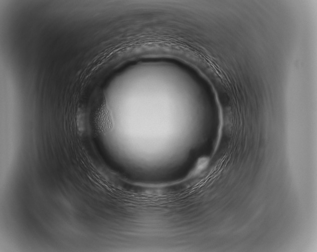 X0000116041490200911271147