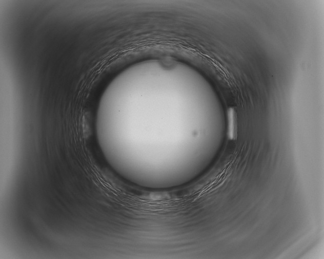 X0000116041491200911271147