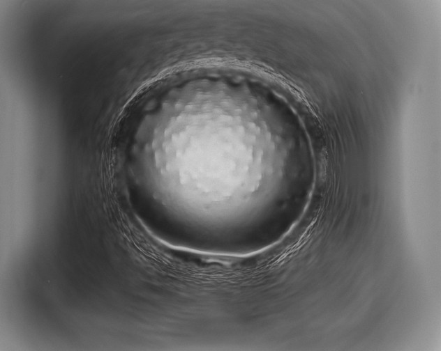 X0000116041494200911271147