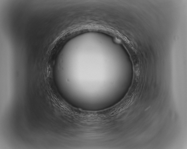 X0000116041495200911271147