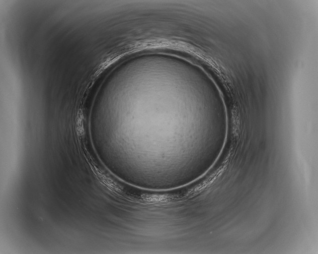 X0000116041497200911271147