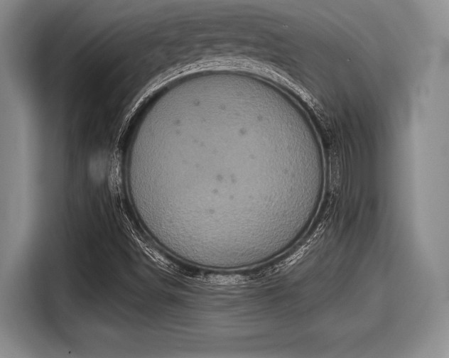 X0000116041498200911271147