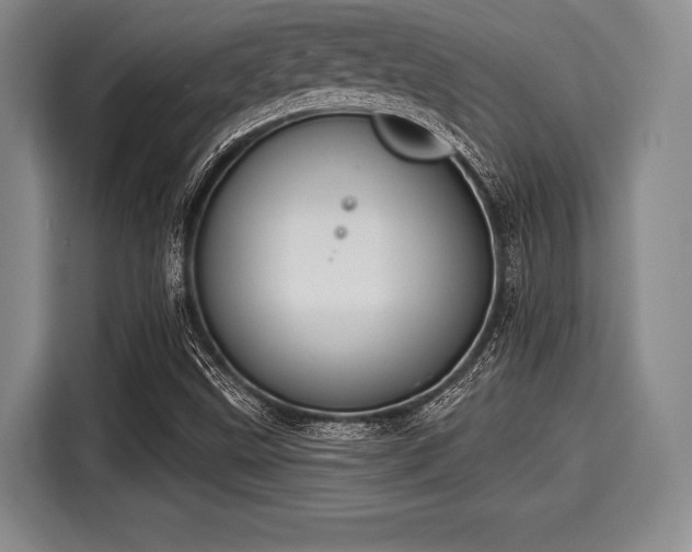 X0000116041499200911271147