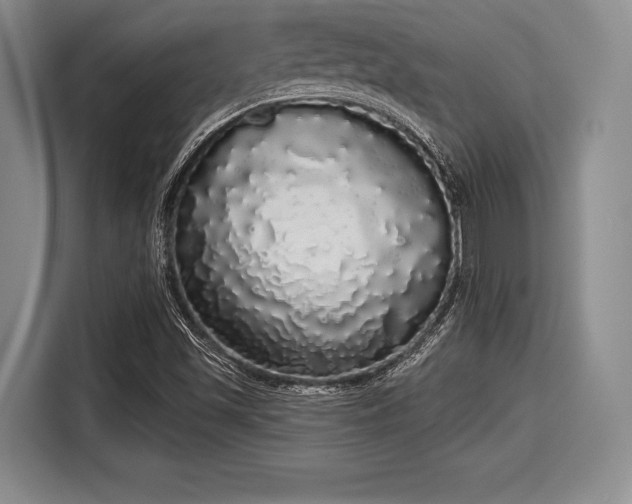 X0000116041501200911271147