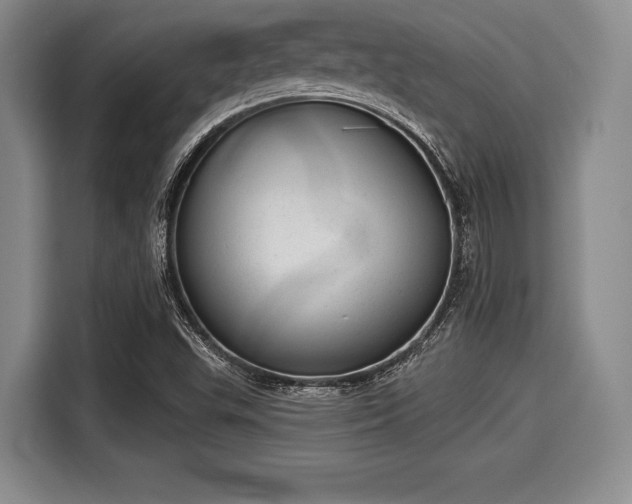 X0000116041503200911271147