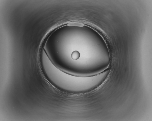 X0000116041506200911271147