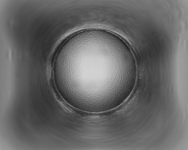 X0000116041507200911271147