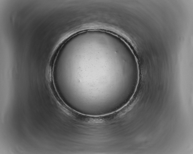 X0000116041509200911271147