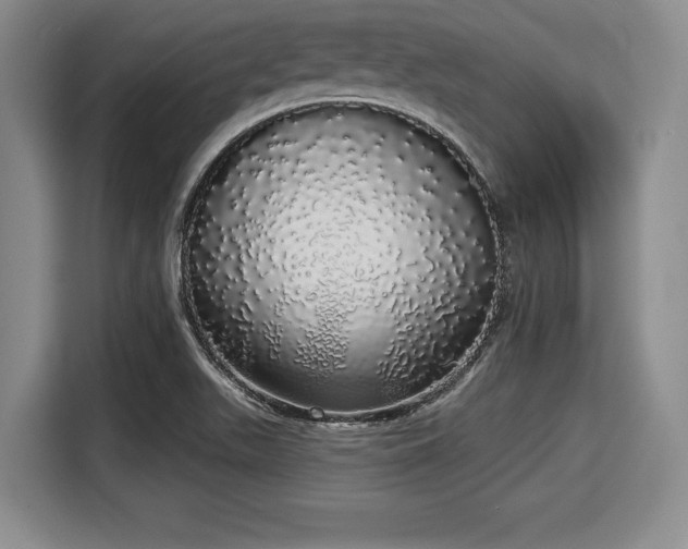 X0000116041511200911271147