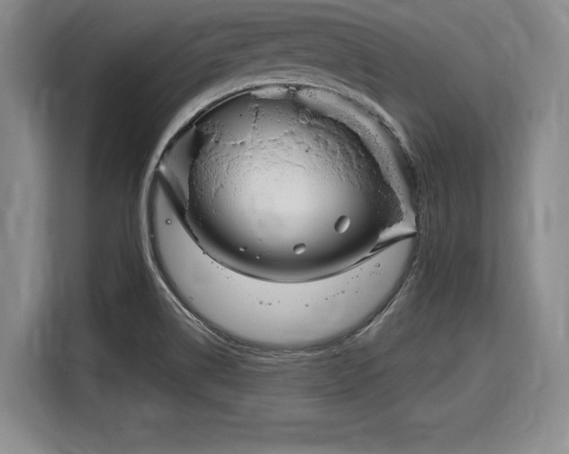 X0000116041514200911271148